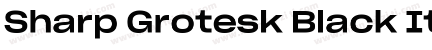 Sharp Grotesk Black Italic 24字体转换